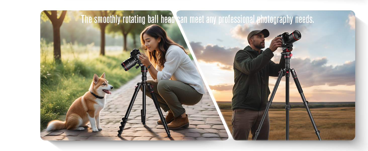 Professional photography tripod