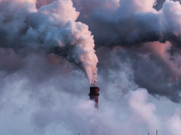 air purifiers for home large room pet True HEPA Air Purifier Large Room bedroom air purifiers