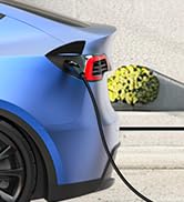 EVDANCE NACS Level 1 Charger - 16Amp 110V-240V NACS Charging Cable 25 FT, Portable NACS Charger, ...