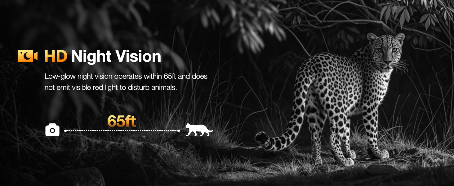 celluar trail cameras