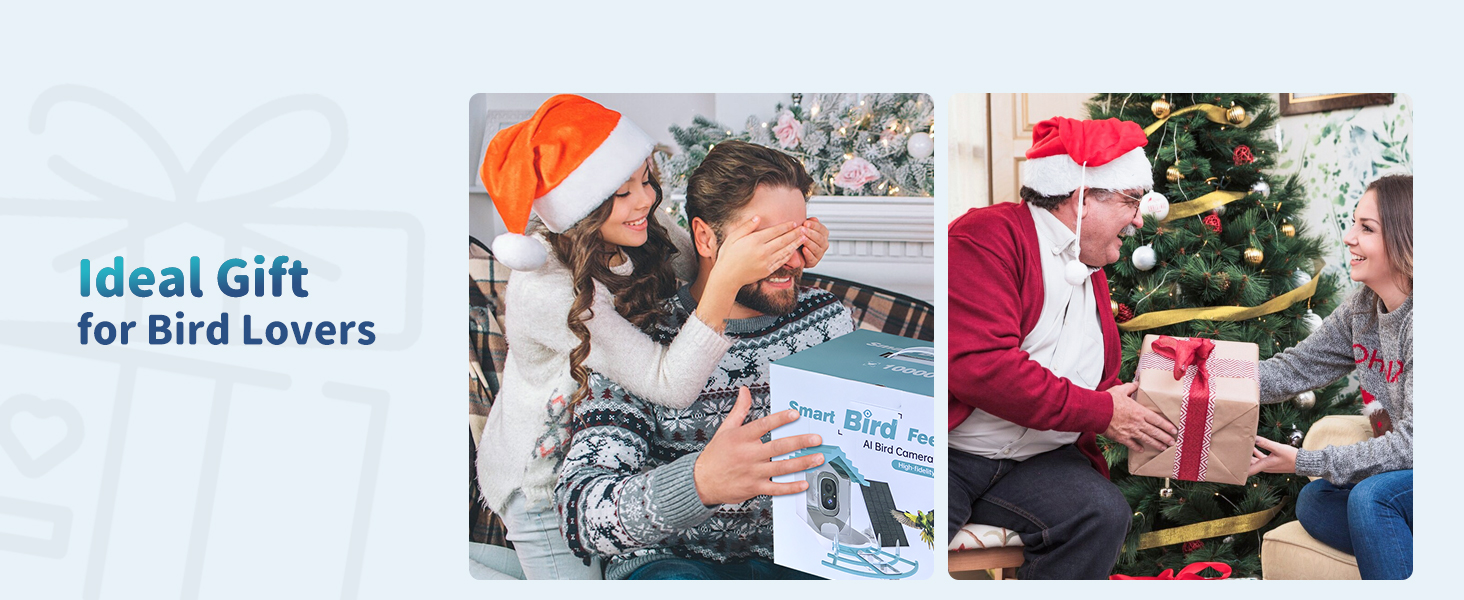 watching bird feeder