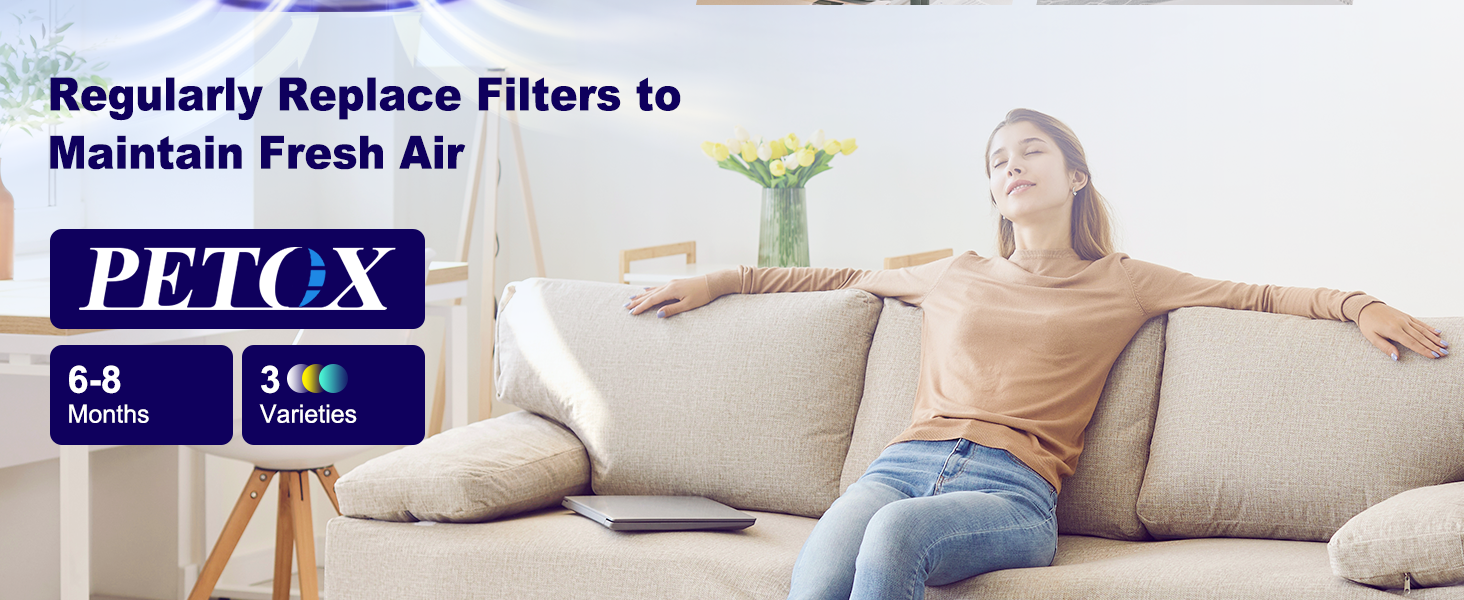 Puroair 240 replacement filter