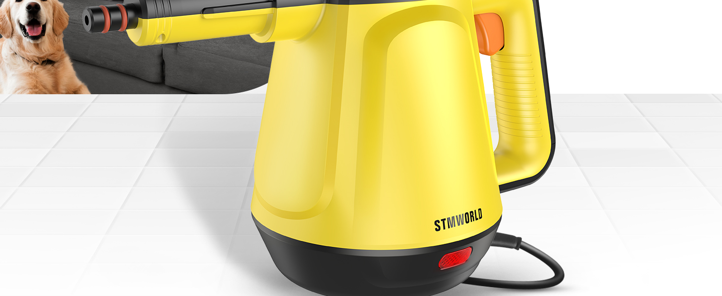 steam cleaner