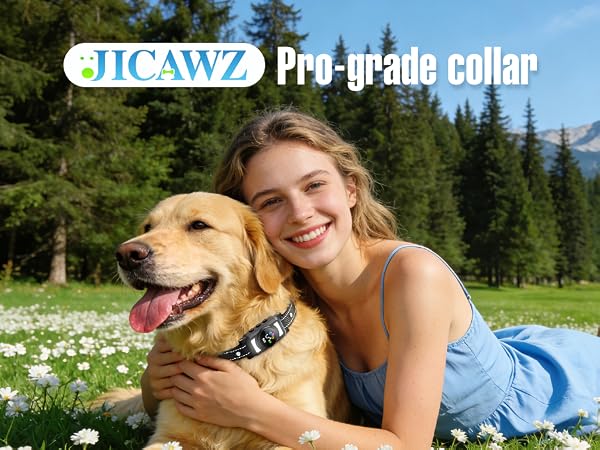 BARK COLLAR