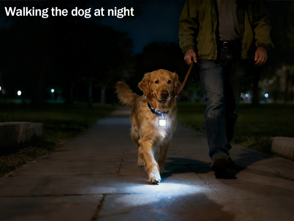 Keychain light for dog walking lighting &amp; warning at night