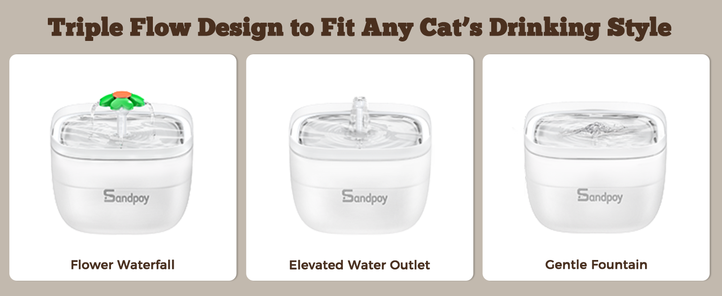 Automatic Cat Feeder