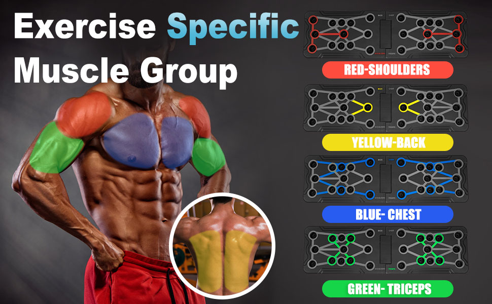 color coded home gym system strength trainning equipment abs chest muscle