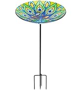 DREAM GARDEN Glass Bird Baths for Outdoors, Garden Birdbaths Outside Birdfeeder with Metal Stake ...