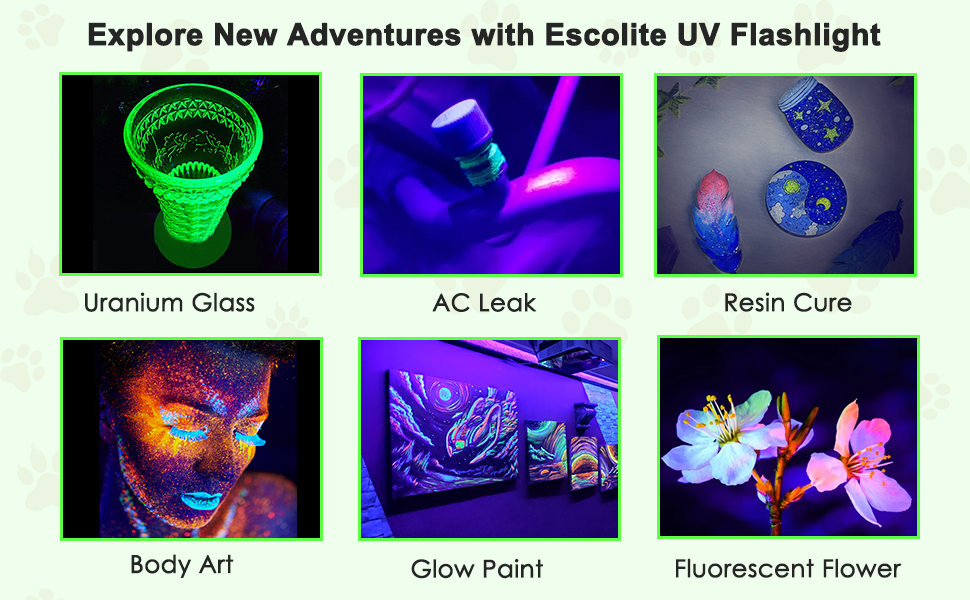 mini black lights flashlight