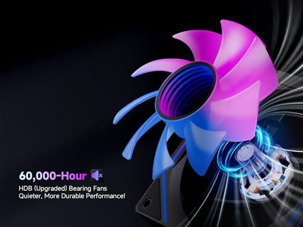 rgb fans