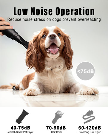 Dog Hair Dryer High Velocity Professional Dog Blow Dryer