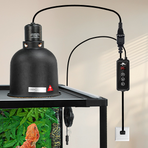 reptile heat lamp thermostat