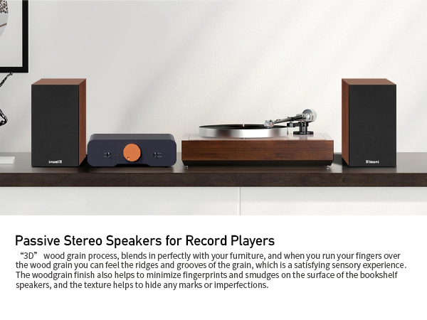 Speaker paired with amplifier connected to turntable