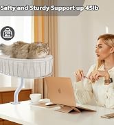 desk cat bed 