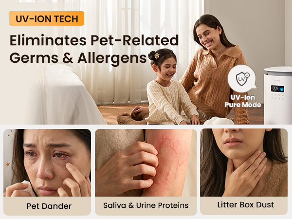 pet air purifiers for home