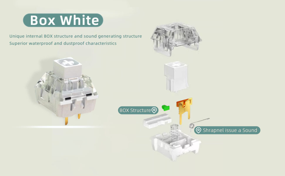 Clicky Keyboard Switch