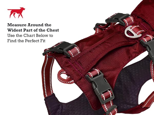 Trailblaze Harness