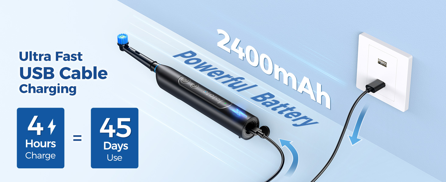 Rotating Electric Toothbrush for Adults