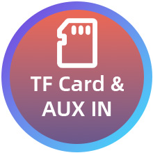 TF Card &amp;amp; AUX IN function