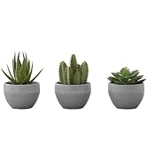Monarch Specialties I 9587 Artificial Plant, 6" Tall, Succulent, Indoor, Faux, Fake, Table, Green...