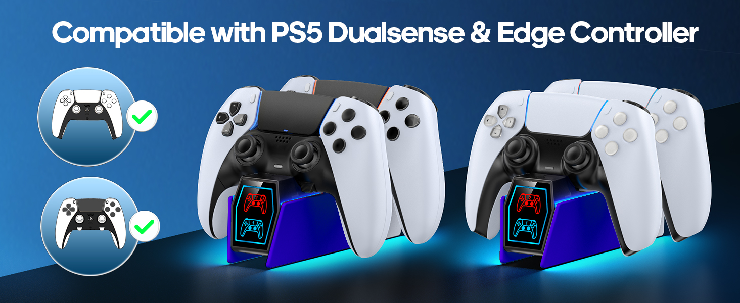 PS5 Controller Charger