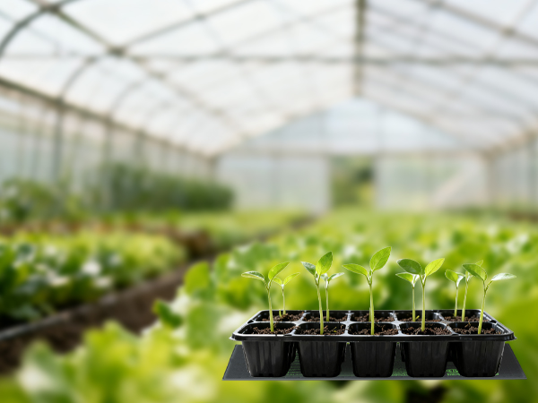 thermostat controller