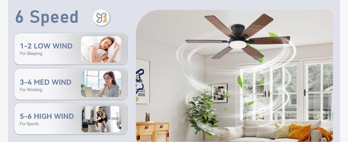Ceiling Fans with Lights