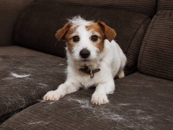 Core mini filter2 capture pet hair