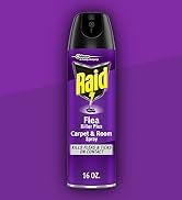 Raid Flea Carpet &amp;amp; Room Spray Pack Shot