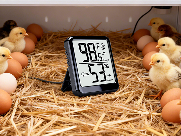 Humidity Gauge Meter