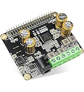 innomaker Audio Amplifier for Raspberry Pi 2x40W Class D HiFi AMP Pro Hat Featuring 48KHz/24bit M...