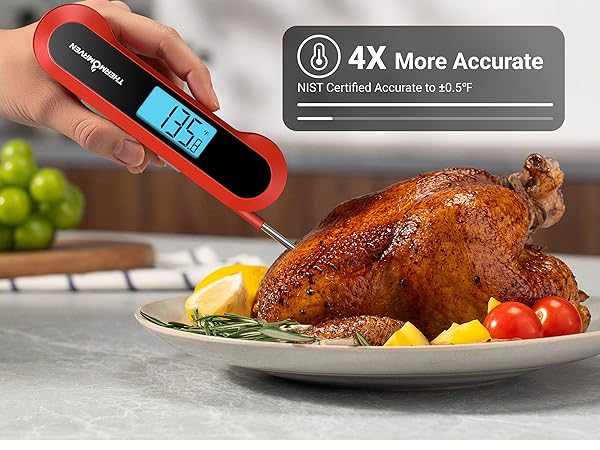 meat thermometer