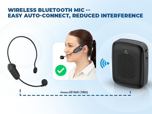 wireless bluetooth voice amplifier