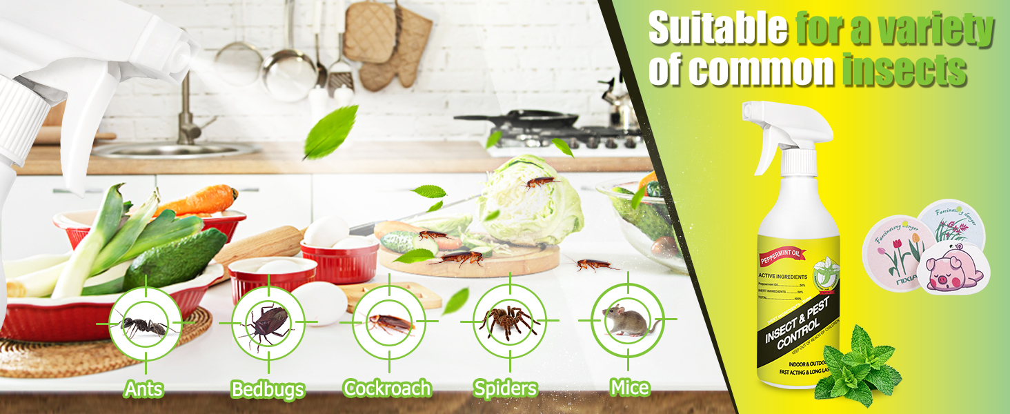bug spray for home