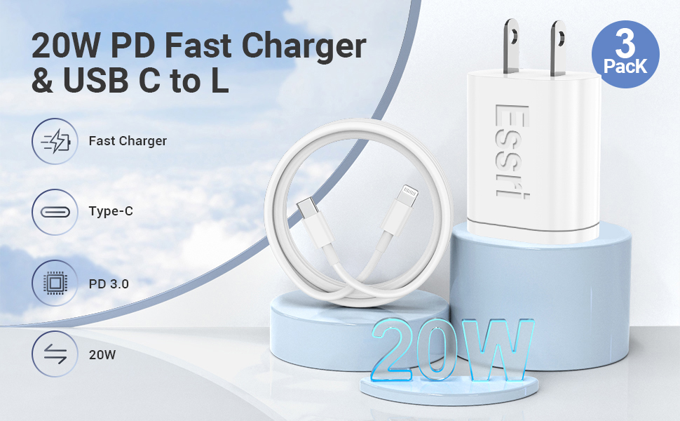 USB C to L