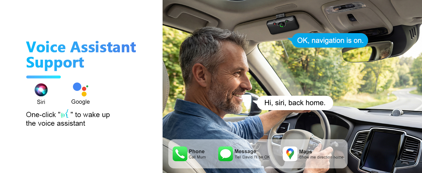Voice Assistant