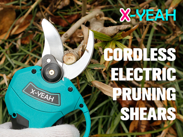 Pruning Shears