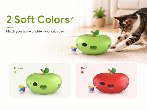 cat toys