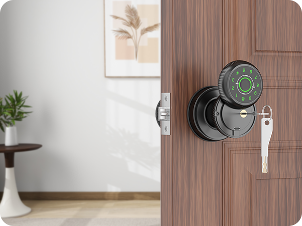 digital Door Knob Key Unlock