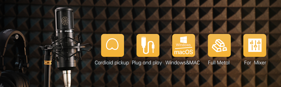 XLR CONDENSER MICROPHONE