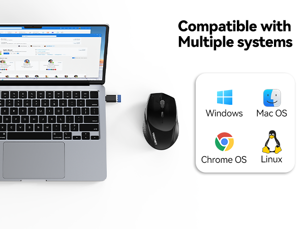 computer mouse