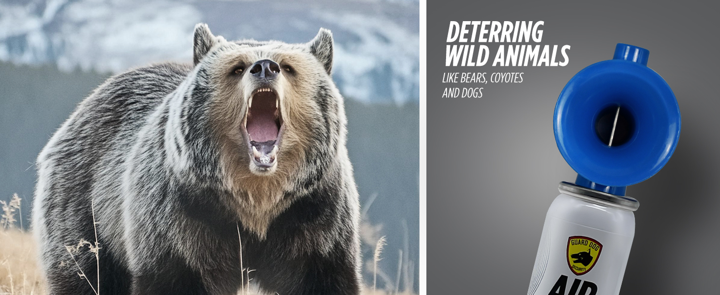 AirHorn Self-Defense