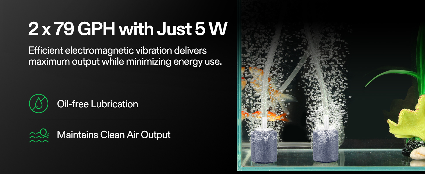 160 GPH Dual-Outlet Air Pump and Complete Accessories