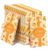 STRN Scented Sachets for Drawer and Closet, Citrus Scent Long-Lasting Sachets, 14 Packs for Home ...