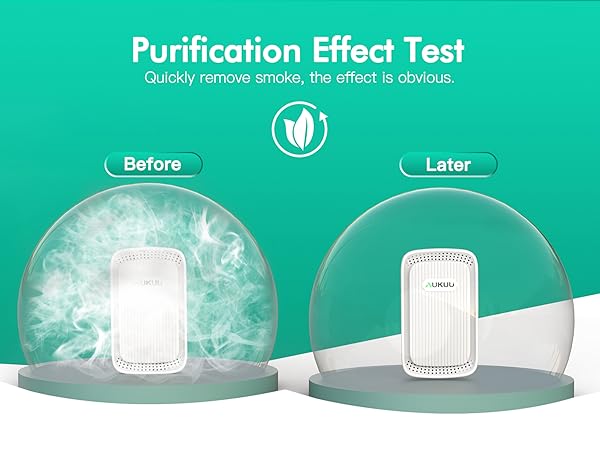 PURIFICATION EFFECT TEST