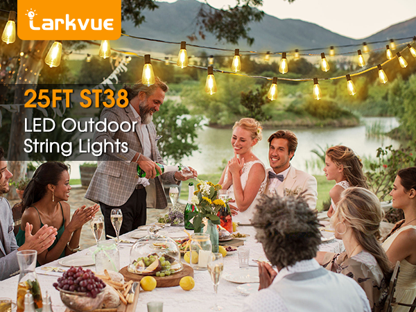 25ft ST38 LED outdoor string lights