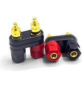4mm Banana Plug Jack 2Pcs, Terminal Binding Post Power Amplifier Insulated | 2-Way Gold Plated Te...