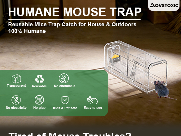 humane mouse trap