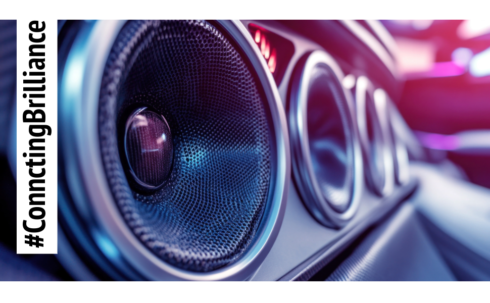 JAVEX Car audio