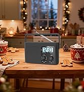 DreamSky AM FM Radio Portable - Shortwave Radio Battery Powered or Plug in Wall for Home Outdoor,...